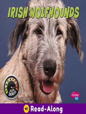 cover image of Irish Wolfhounds